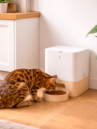 Rio dans un intérieur, pendant qu’un chat mange dans sa gamelle.